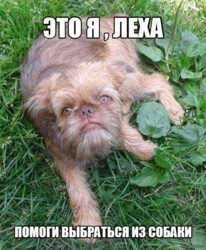 1 ппмши выши пд из сошки