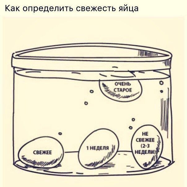 Как определить свежесть яйца
