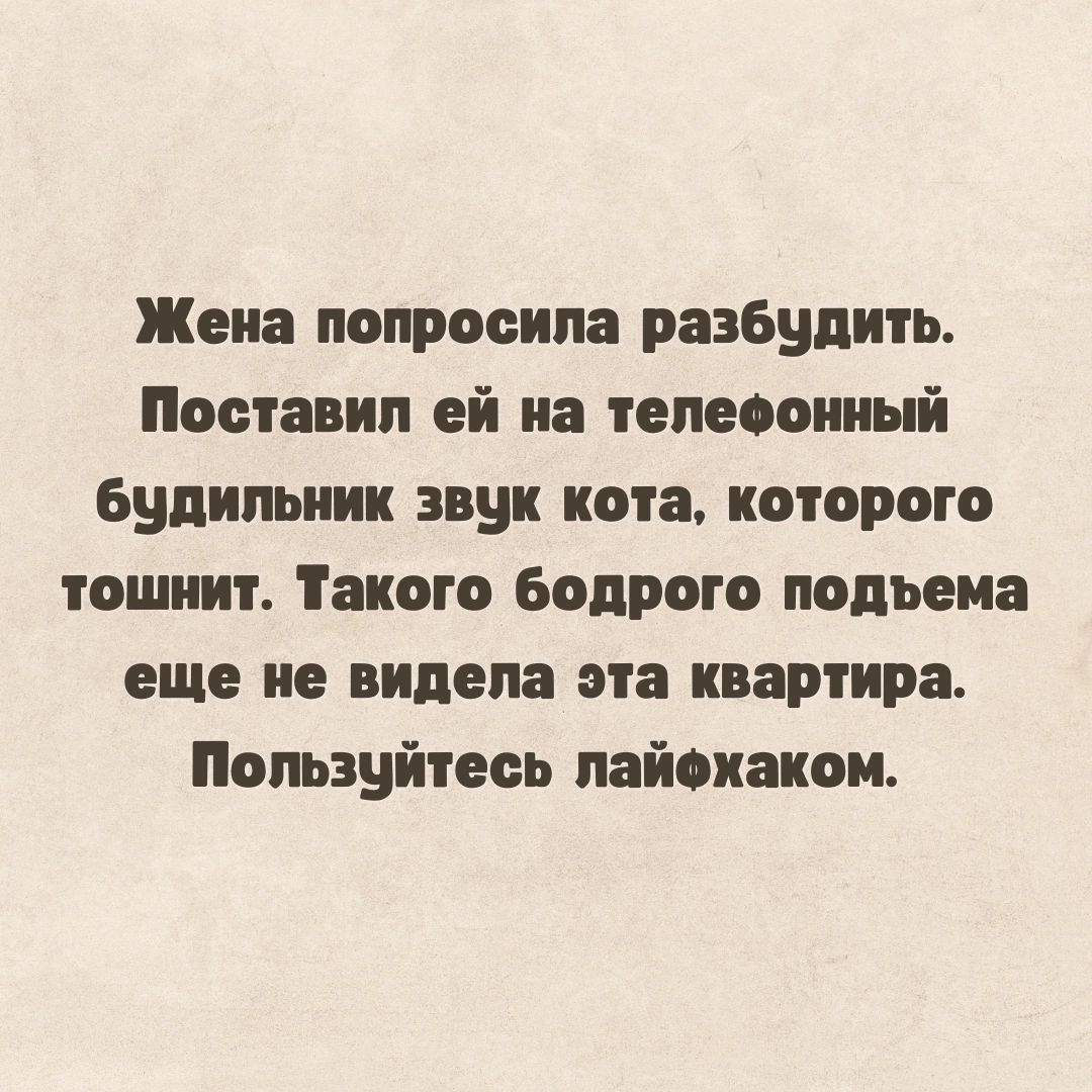 Жена попросила разбудить Поставил ей на темооииый Будильник звук кота которого тошнит Такого Бодрого подьема еще не видела эта квартира Пользуйтесь пайоиаиои