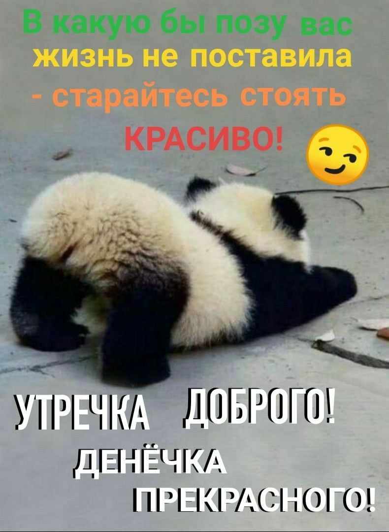 В какую бы позу вас КРАСИВО У1РЧКА ЛПБРПГП дЕНЁЧКА іншшушномц