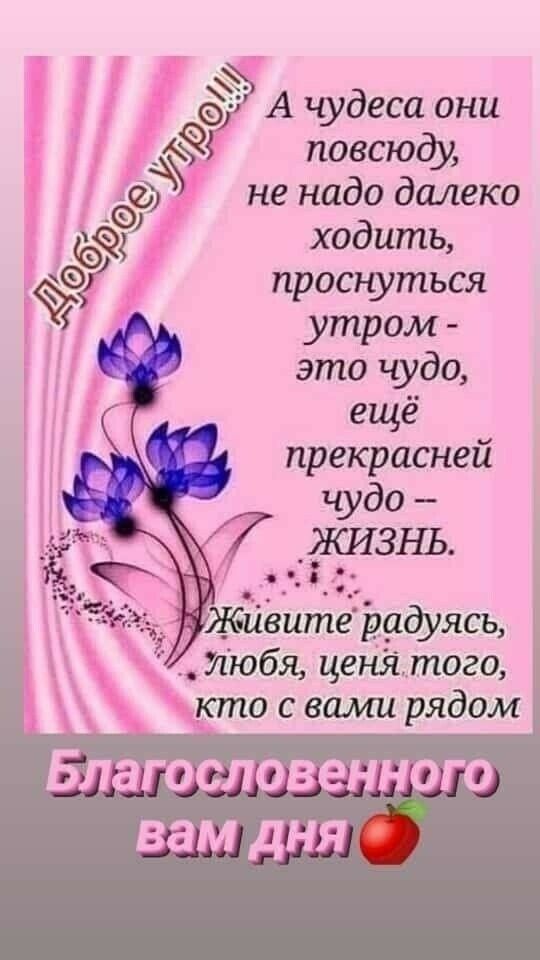 А Р 959 А чудеса они повсюду не надо далеко ходить проснуться утром это чудо ещё прекрасней чудо 7 _ЖИЗНЬ Живитё радуясь _ Июбя цени того кто с вами рядом Биг и и сл из али ш и _шм дид 10