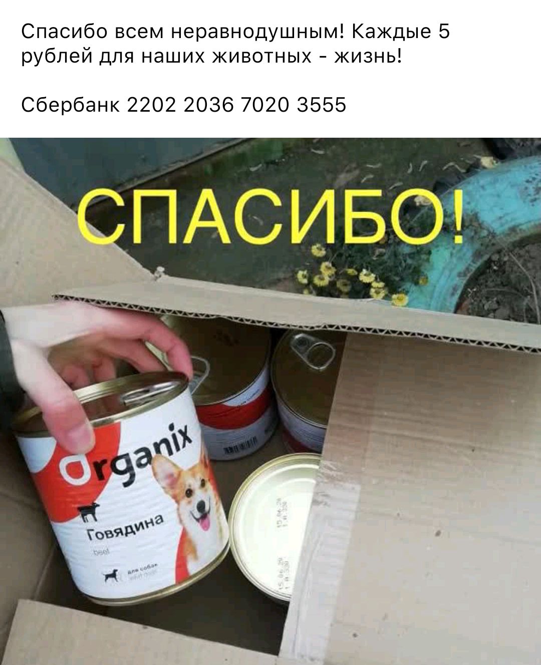 Спасибо всем неравнодушным Каждые 5 рублей для наших животных жизнь Сбербанк 2202 2036 7020 3555