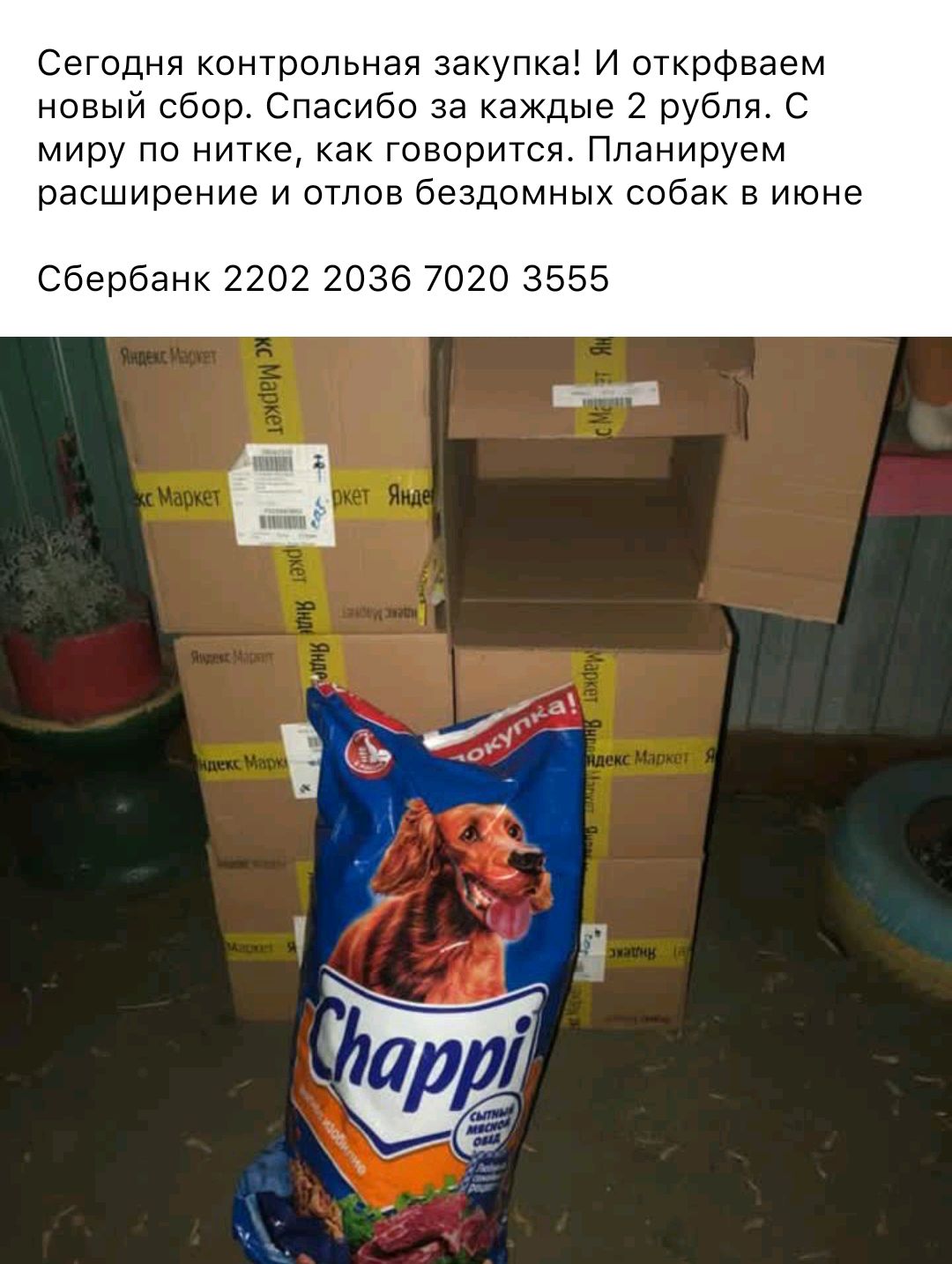 Сегодня контрольная закупка И открфваем новый сбор Спасибо за каждые 2 рубля С миру по нитке как говорится Планируем расширение и отлов бездомных собак в июне Сбербанк 2202 2036 7020 3555