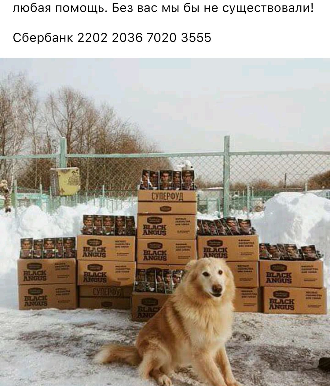 любая помощь Без вас мы бы не существовали Сбербанк 2202 2036 7020 3555
