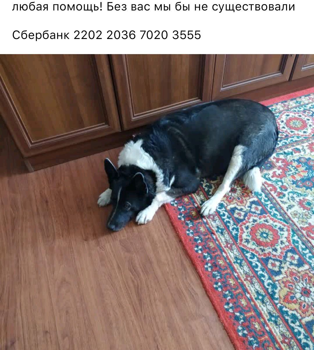 И Л 8 В О В Т С Э Щ у С 6 Н Ы б Ы М С а В 3 6 В Ы Щ О М О П Я 8 б Ю П Сбербанк 2202 2036 7020 3555