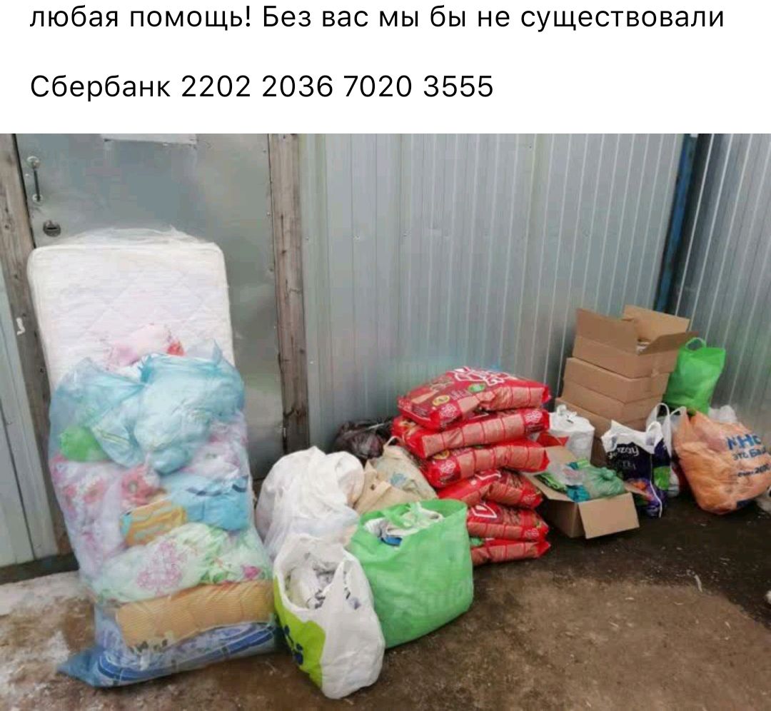 любая помощь Без вас мы бы не существовали Сбербанк 2202 2036 7020 3555