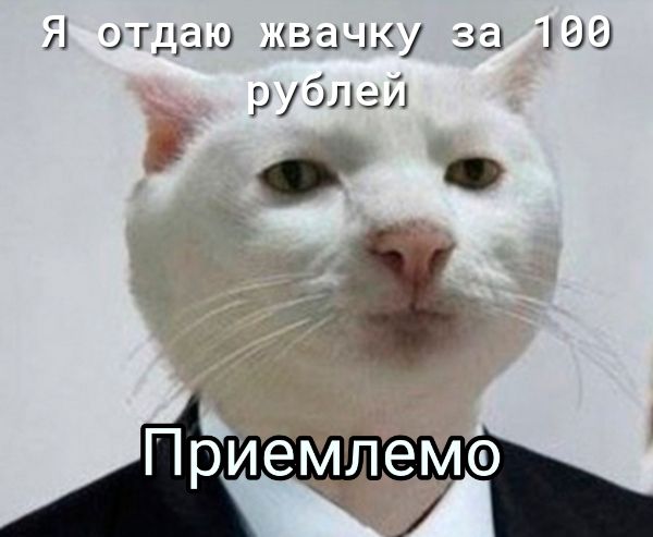 Я огпаш 1333 жу за ШЭ рОЛЭИ