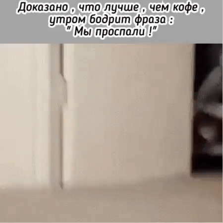 Доказано что лучше чем кофе утрам бодрит фраза Мы проспали