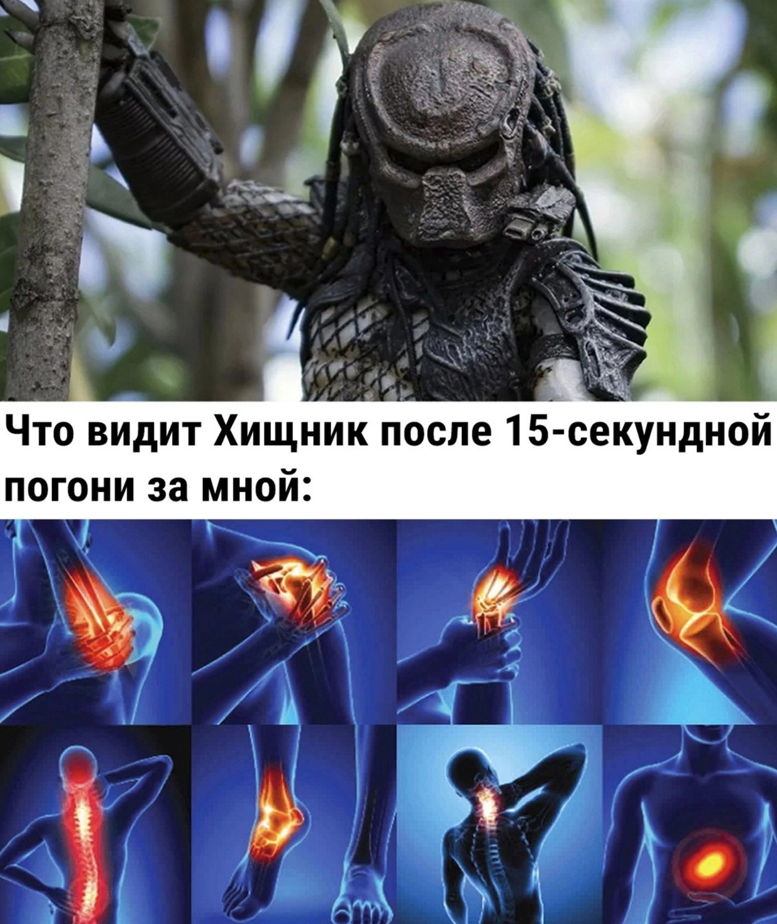 Что видит Хищник после 15секундиой погони за мной