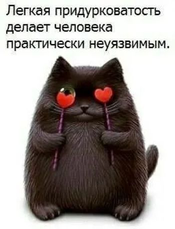 Легкая придурковатость делает человека практически неуязвимым