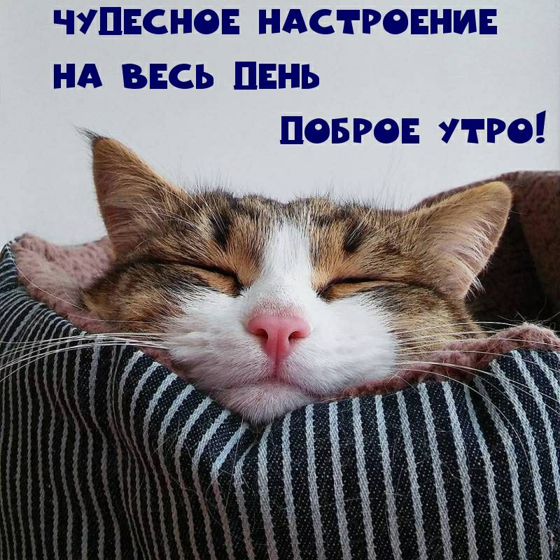 чупнсно ндс греции нд внсь ппнь поврон 11 го