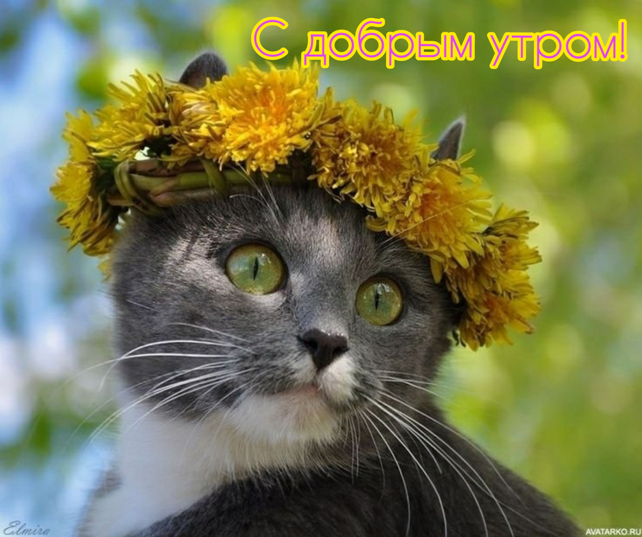 С добрым утром!