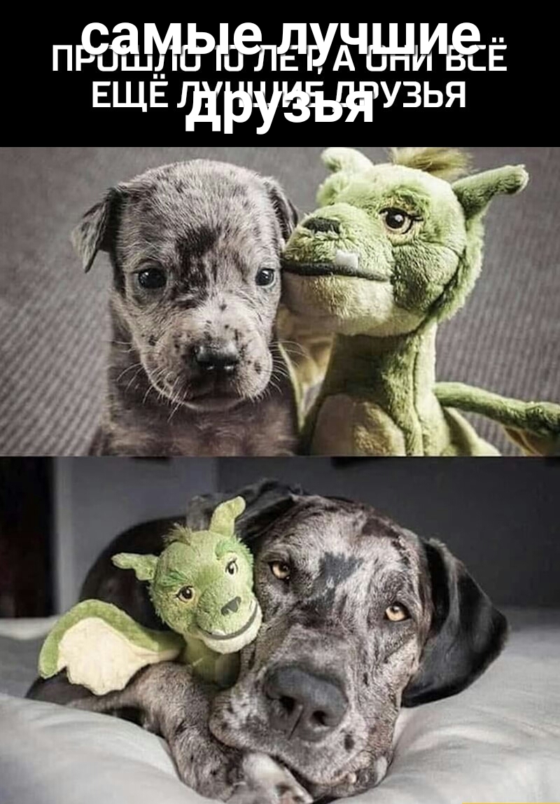 п МЁЁЁЛЁЫЁЁНМЁЁ ЕЩЕ дружузья