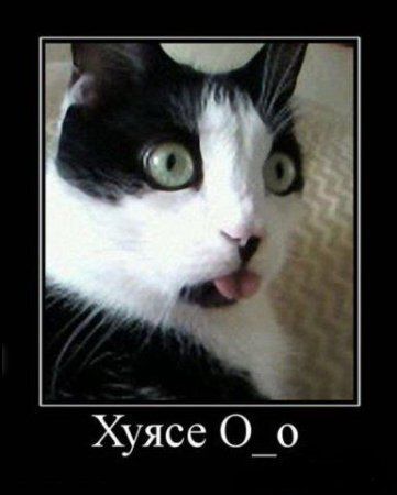 Хуясе О_о
