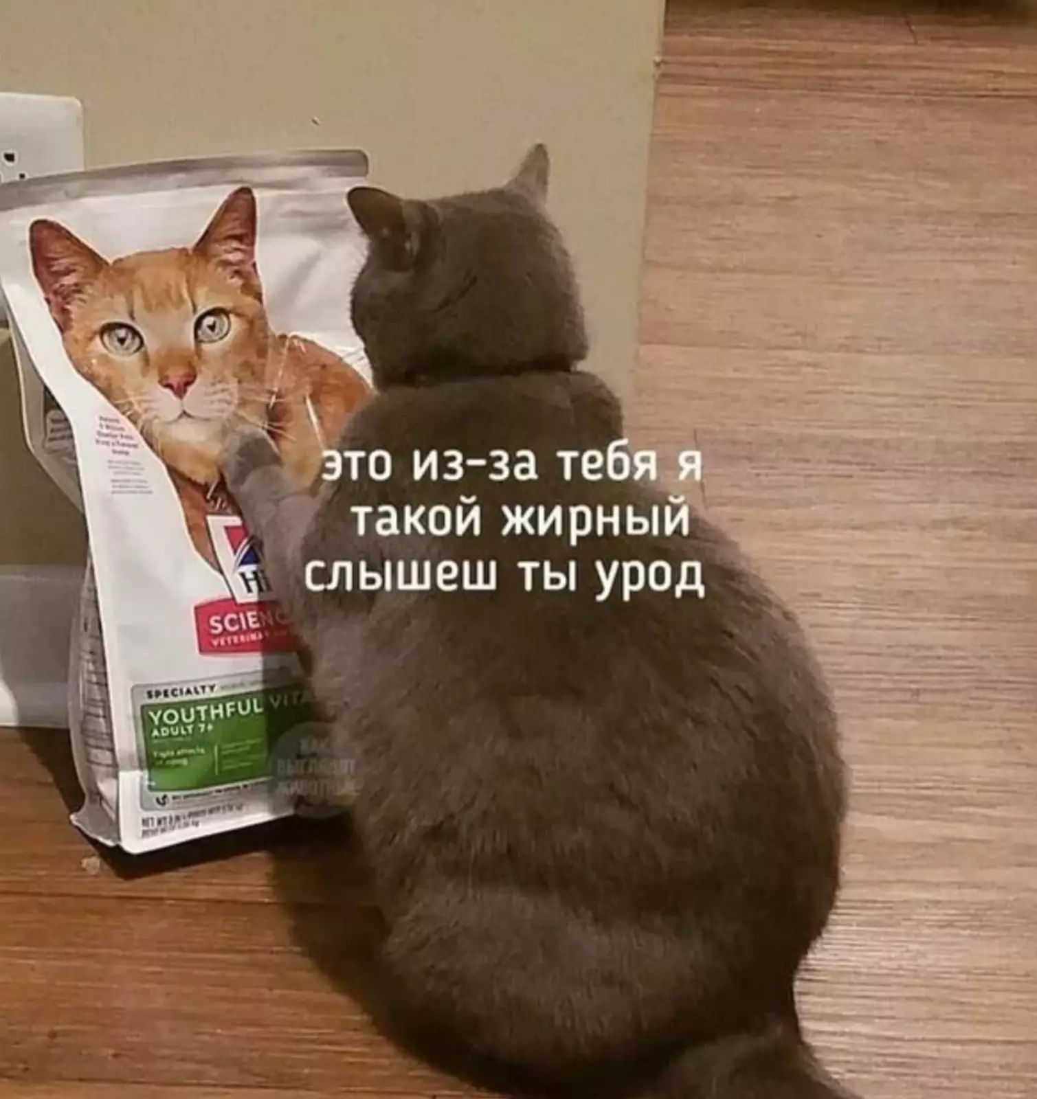 то из за те такой жирны слышеш ты урод
