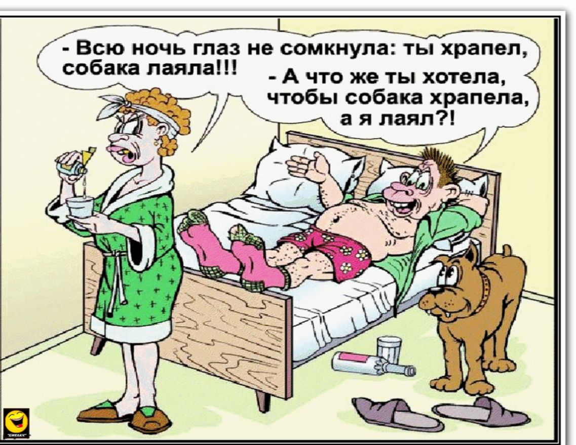 Всю ночь глаз не сомкнупа ты храпел собака паяла А что же ты хотела чтобы собака храпела а я лаяп