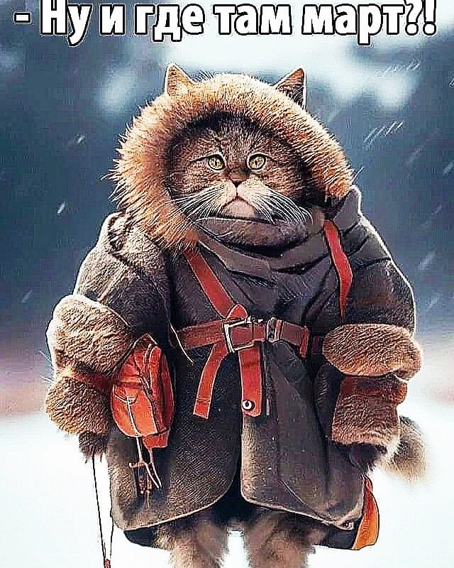 ТАа лартс