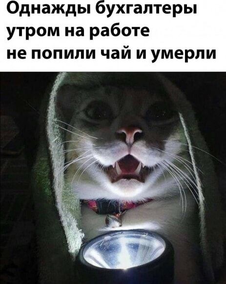 Однажды ухгаптеры утром на работе не попили чай и умерли