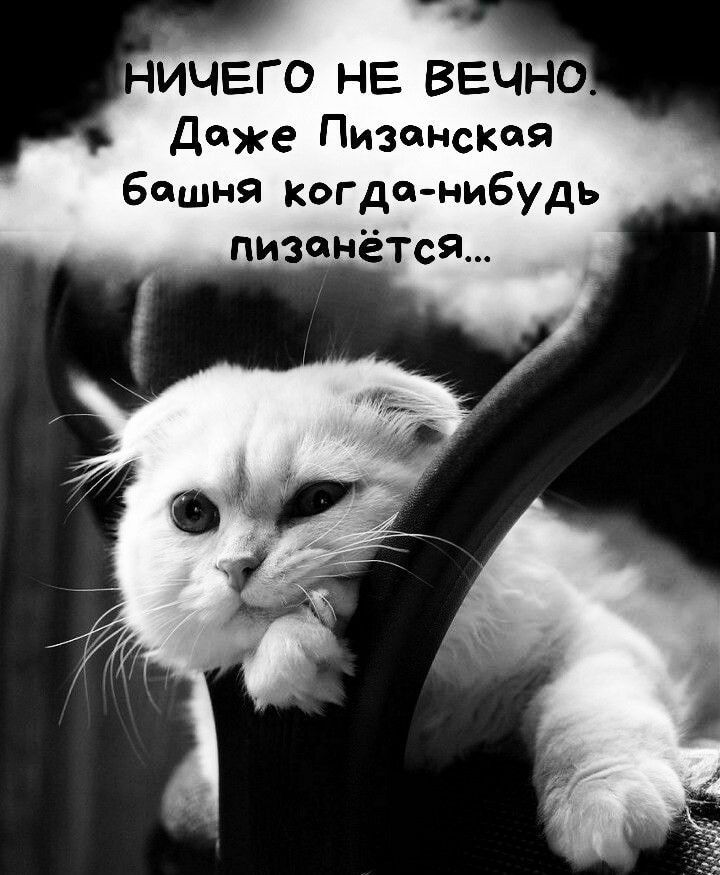ИЧЕГО НЕ ВЕЧНО Даже Пизанская башня когданибудь пизенётся