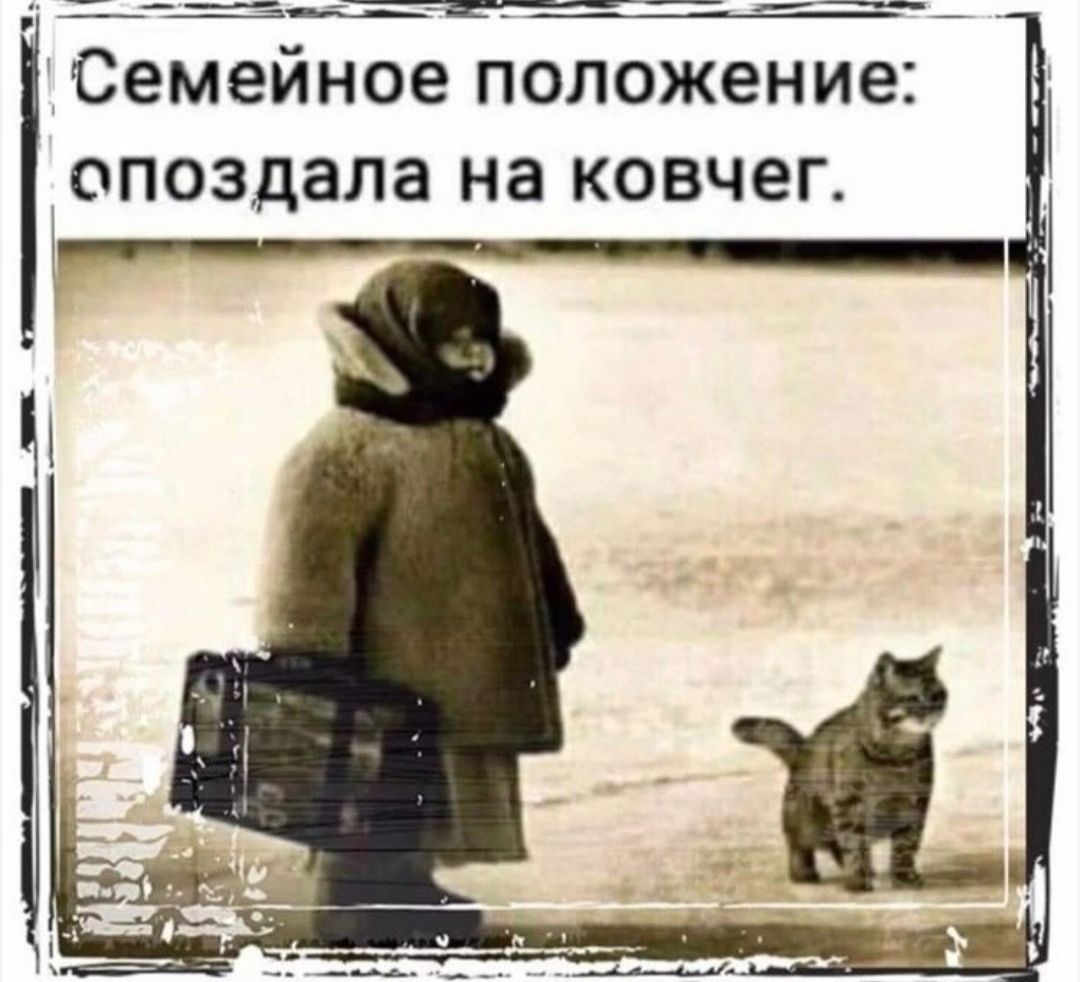 Семейное ПОЛОЖЕНИЕ ОПОЗДЗЛЗ на КОВЧЕГ ______