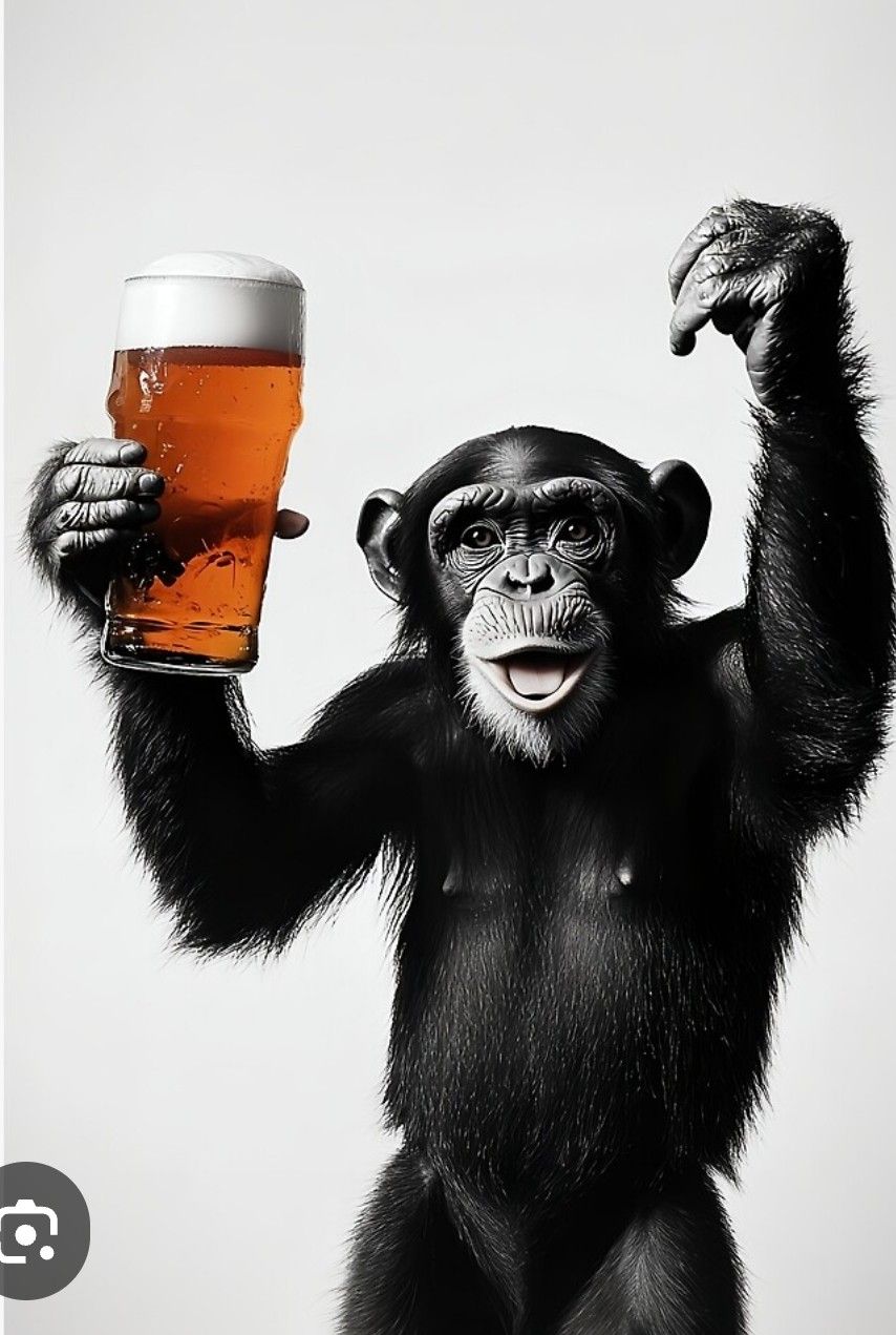 Обезьяна держит кружку пива и поднимает руку в жесте