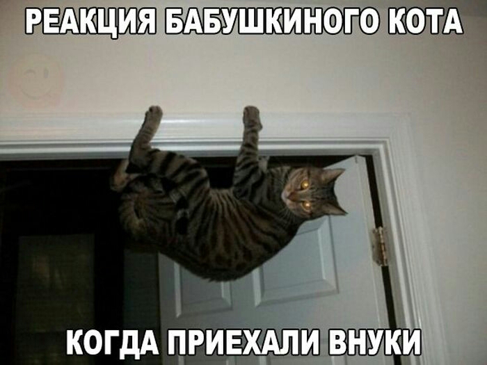 РЕАКЦИЯ БАБУШКИНФГФ ЁП