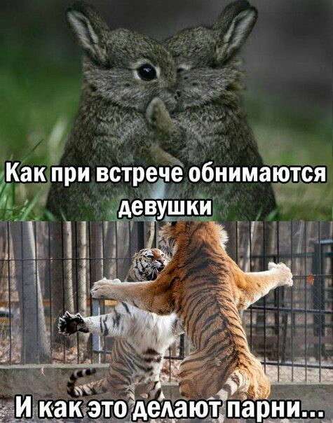При встрте обнимаются