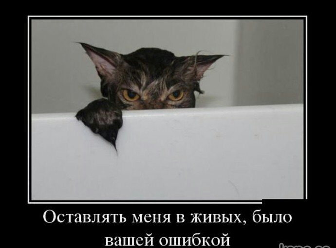 Оставлять меня в живых было вашей ошибкой