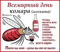 Всемирный день комара москита 20 августа ЧтоБЫ выпить всю КРОВЬ У ЧЕЛОВЕКА НУЖНО 100500 КОМАРОВ АЧТОБЫ ЗАДОЛБАТЬ 5 всЕГО ОДИН ПИЛИ БЫ ЖИР ЦЕНЫ БЫ ИМ НЕ БЫЛО