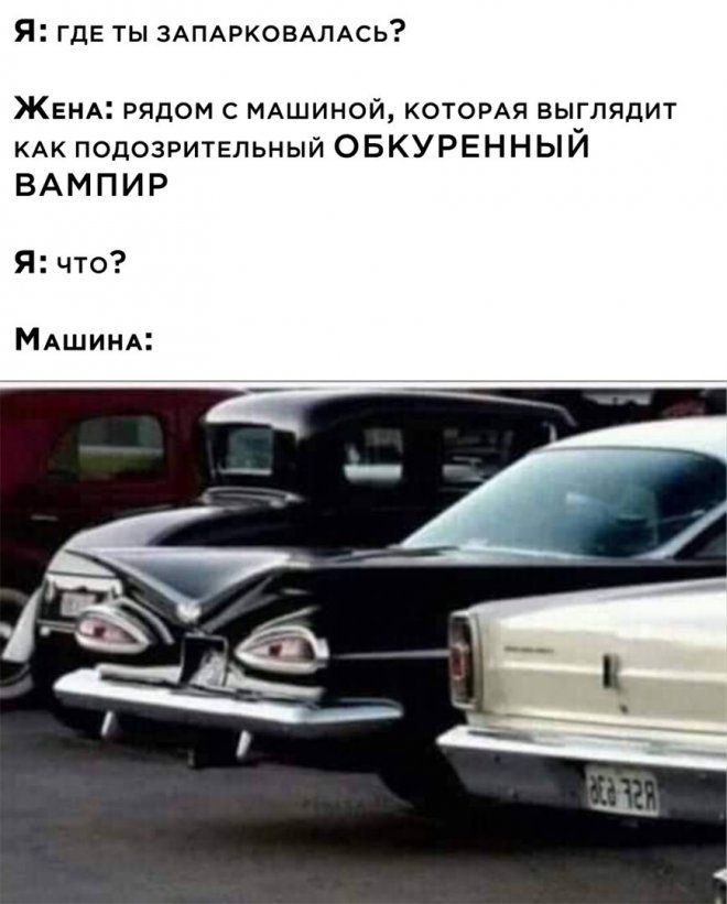 Лось рядом с машиной