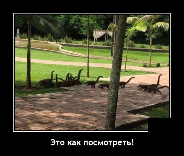 Это как посмотреть