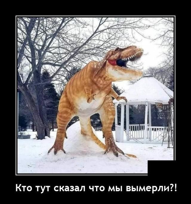Кто тут сказал что мы вымерли