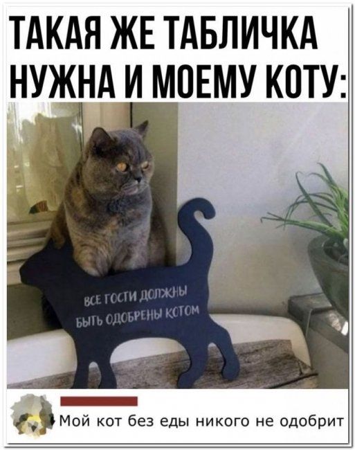 ТАКАЯ ЖЕ ТАБЛИЧКА НУЖНА И МОЕМУ КОТУ