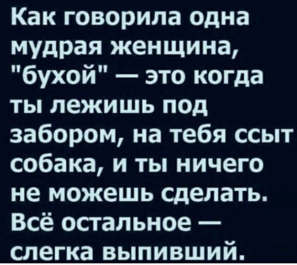 Как говорила одна мудрая женщина бухой это когда ты лежишь под забором на тебя ссыт собака и ты ничего не можешь сделать Всё остальное слегка выпивший