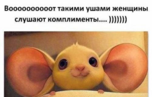 Воосоооооооот такими ушами женщины слушают комплименты