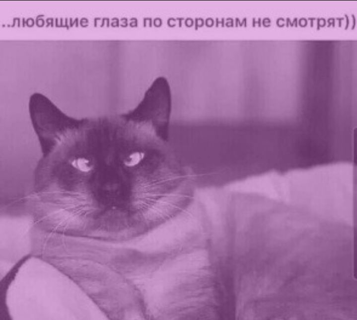 любящие глаза по сторонам не смотрят