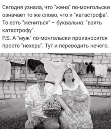 Сегодня узнала что жена по монгольски означает то же слово что и катастрофа То есть жениться буквально взять катастрофу Р5 А муж по монгольски произносится просто нехерь Тут и переводить нечего