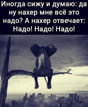 Иногда сижу и думаю да ну нахер мне всё это надо А нахер отвечает Надо Надо Надо