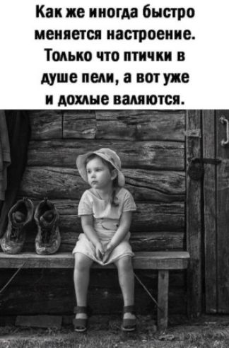 Как же иногда быстро меняется иатроеиие Тмыю что птички в душе пели а вот уже и дохлые валяются