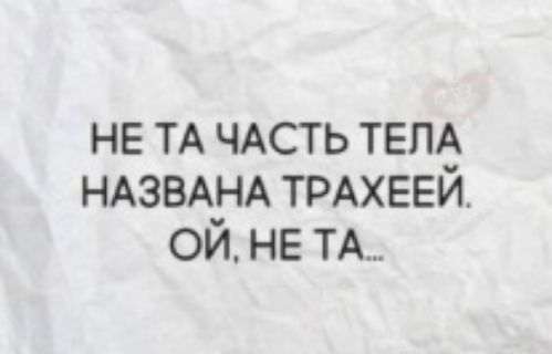 НЕ ТА ЧАСТЬ ТЕПё НАЗВАНА ТРАХЕЕИ ОИ НЕ ТА