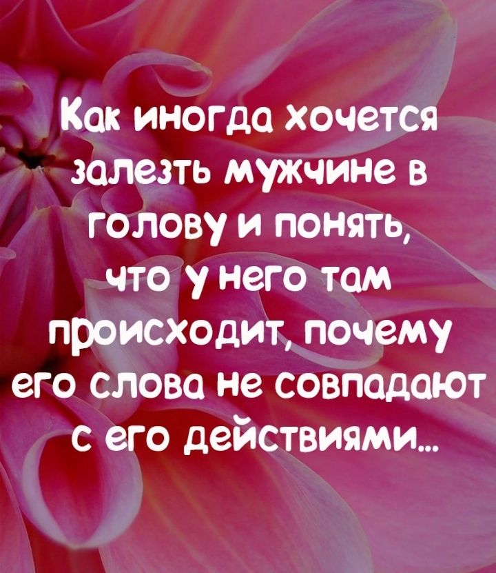 Кок иногда хочется залезть мужчине в голову и понять что у него там происходит почему его слова не совпалоЮт с его действиями