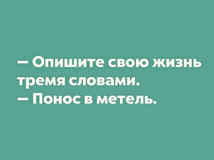 Опишите свою жизнь тремя словами Понос в метель