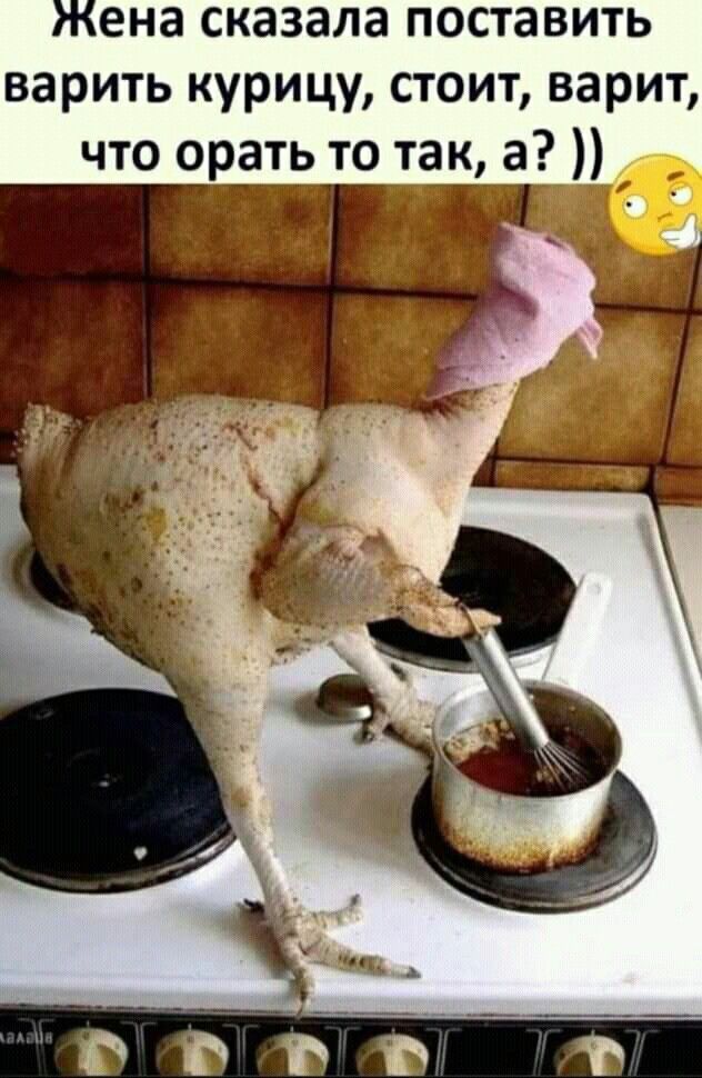 Жена сказала поставить варить курицу стоит варит что орать то так а