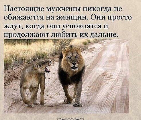 Настоящие МУЖЧИНЫ никогда не обижаются На женщин ОНИ ПРОСТО КДуТ когда ОНИ УСПОКОЯТСЯ И Продолжают ЛЮбИТЬ ИХ дальше