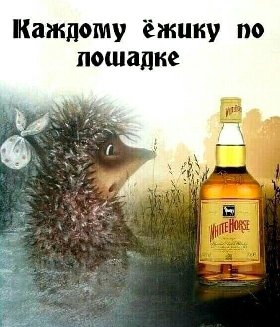 каждому ёжцку по лошадке
