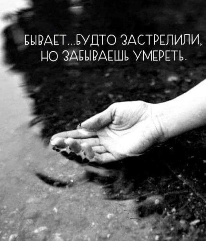 БЫРАЕТЕУДТО ЭАСТРЕЛИЛИ ЦО ЗАЕЫРАЕШЬ УМЕРЕТЪ