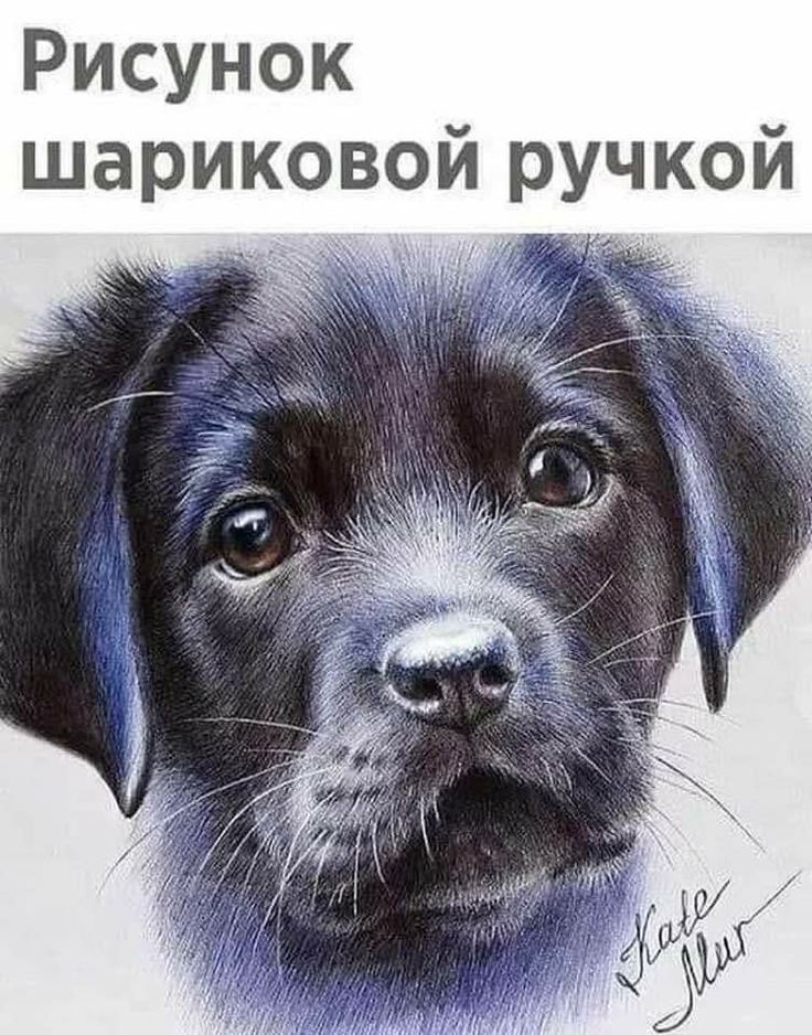 Рисунок шариковой ручкой