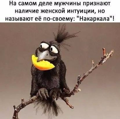 На самом деле МУЖЧИНЫ ПРИЗНЗЮТ наличие ЖЕНСКПЙ ИНТУИЦИИ НО называют её по своему НакаркалаЧ