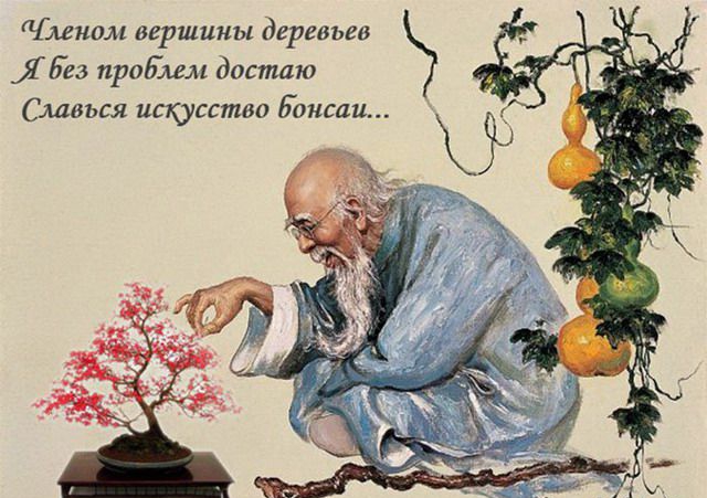 Я Ёез продлем достаю миом вершины деревьев Славия искусство болели