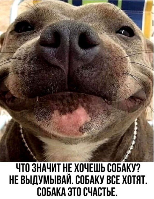 что зндчит НХЁЧЕШЬ спвкхп нв выдумывди совдку все хотят спвдкдзтпсчдстьв